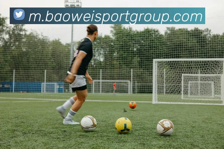 宝威体育品牌故事